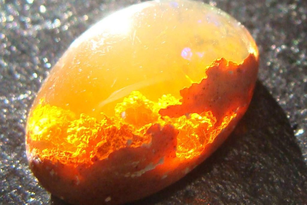 Gérald Genta Unveils Gentissima Oursin with Fiery Opals