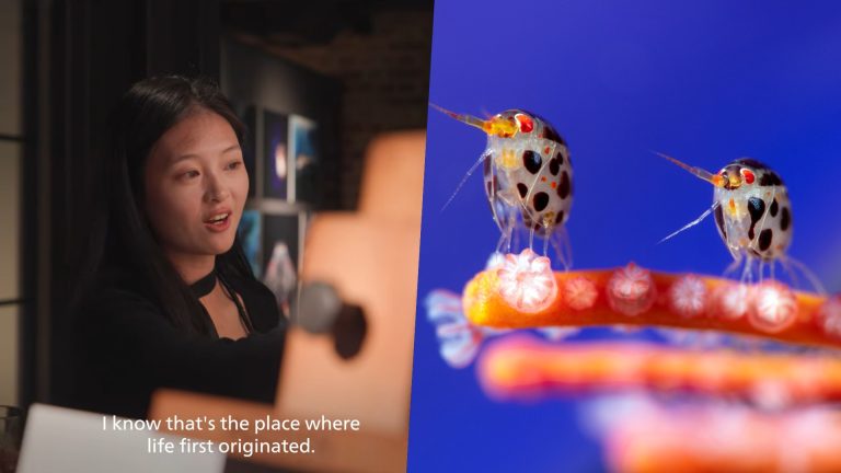 “Through the Lens: เลดี้บั๊กแห่งท้องทะเล” คว้ารางวัลชนะเลิศ Blancpain Ocean Photographer of the Year 2025